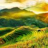Beauty of Mu Cang Chai & Sapa: 4 days